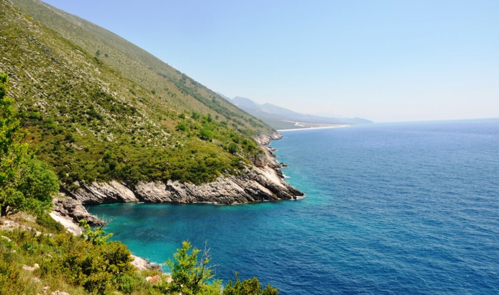 INVESTIGIMI/ Mafia, drogë dhe pastrim parash, gjurmët e Artur Shehut në Vlorë , si mpleksen Fidel Ylli dhe Gerian Kuka 