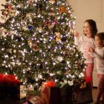 A8814C91-5977-4853-A58B-3E9618C654A5