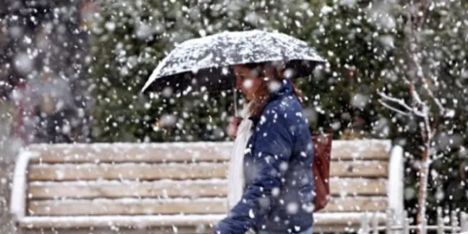 2415C268-7D84-41AA-9737-43FE7BCCA808