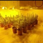 -800-0-63e60e66e0154