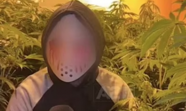 -640-0-vv-2-600x360-1679124478