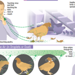 1F532C54-AD62-47DA-8CD6-39D4DE73E4AB