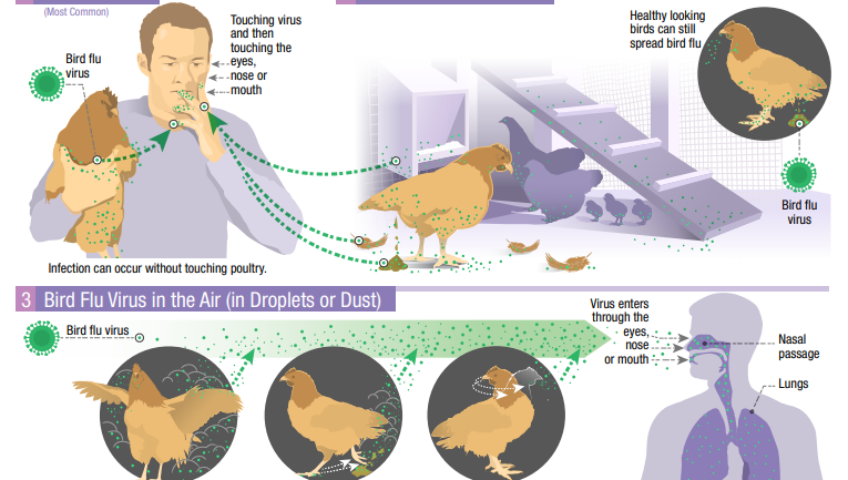 1F532C54-AD62-47DA-8CD6-39D4DE73E4AB