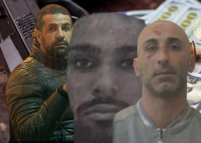 -640-0-tree-1682618012