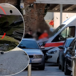 CE1673EE-54D6-471A-8B71-1C92A4CDCBA9