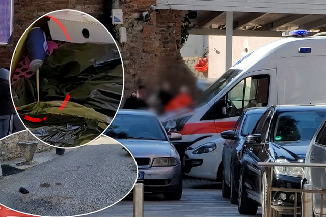 CE1673EE-54D6-471A-8B71-1C92A4CDCBA9