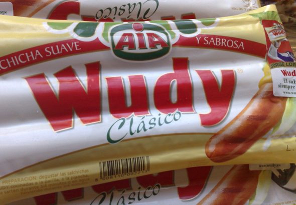 salcice wudy