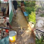 02D397A9-AAEC-4396-A470-7128FAA1DC1A