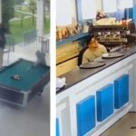 1A79A9FF-2D6B-4BE6-B5D9-624B252A3430