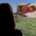 -640-0-collage-2023-05-08t150352761-1683554636