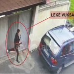 -640-0-lekespng-1683195844