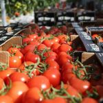 893CE119-2F4B-4285-8ADB-CAF8BFBAA3BD