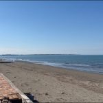 D6A013C3-4275-4710-B931-8425E798953F