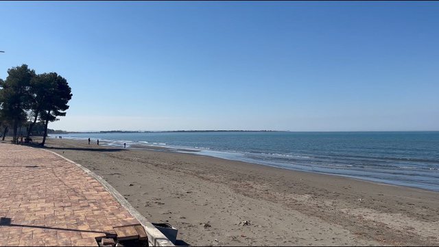 D6A013C3-4275-4710-B931-8425E798953F