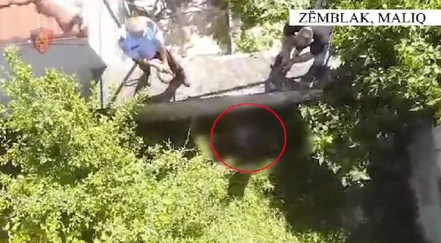 -640-0-gjergj-1690711851