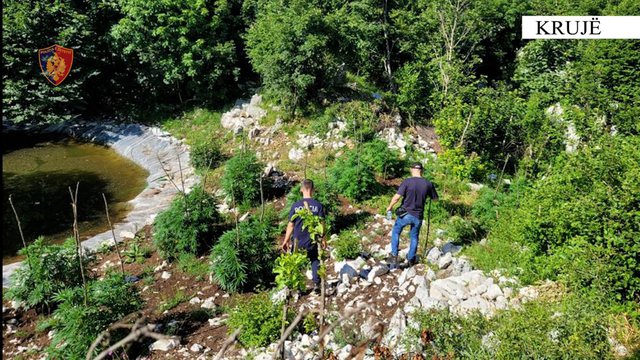 92FBB904-A350-425A-9F4C-0B5456E94901