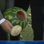 CD50D44F-3D05-40D0-AB37-246C7B8ED98C