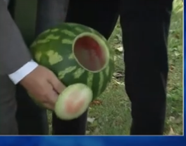 CD50D44F-3D05-40D0-AB37-246C7B8ED98C