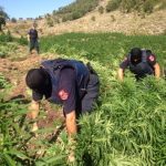 D258CC97-A882-4D55-9A03-46169BD0468F