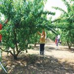 -640-0-1690983061xrajo-348