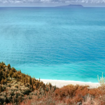 ECD8A78E-186C-473D-A8ED-1B7CD6AA796A