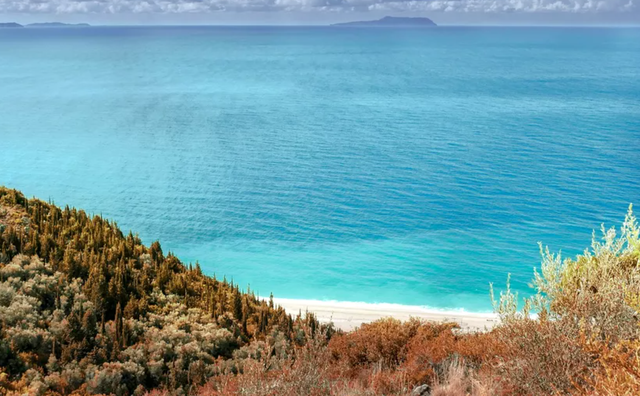 ECD8A78E-186C-473D-A8ED-1B7CD6AA796A