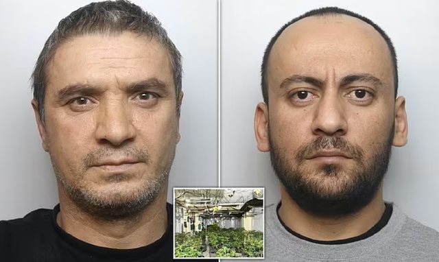 640-0-1694804548xriku-894