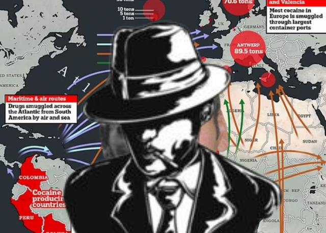 -640-0-coco-1699872324