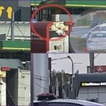 grabitje-768x453 (1)