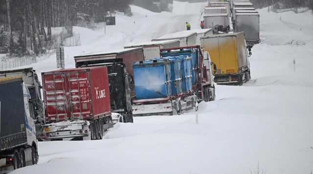 640-0-89cbb89ce850781173a871662f87c772