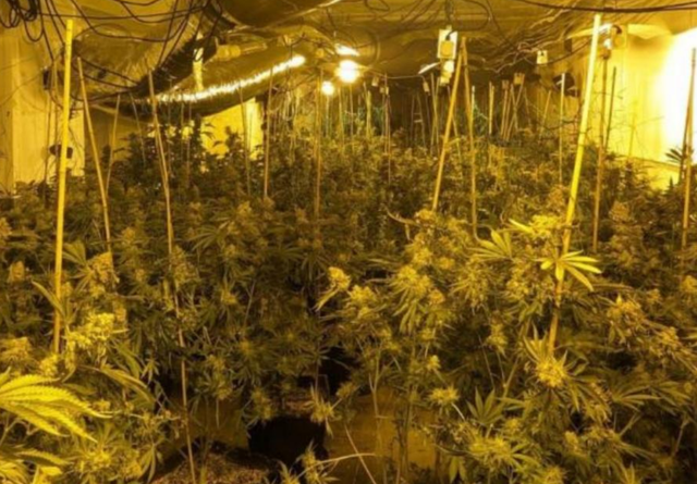 -640-0-ertgw23fg32gg-1705504391