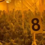 -900-0-1713859085xmalesiipng-764