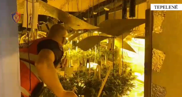 -640-0-442-236-1715161646xftrpng-798-1715162733