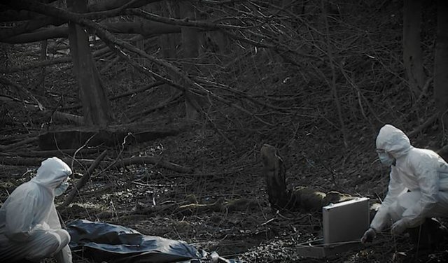 -640-0-orman-berberi-rasaja-765x450-1717007123