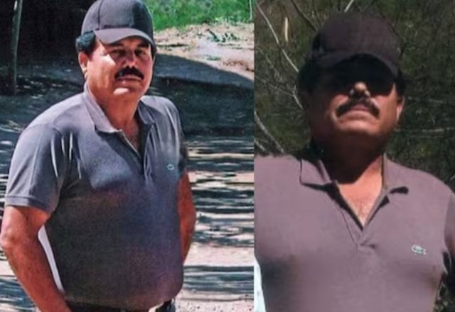 -640-0-segegee-1721953902