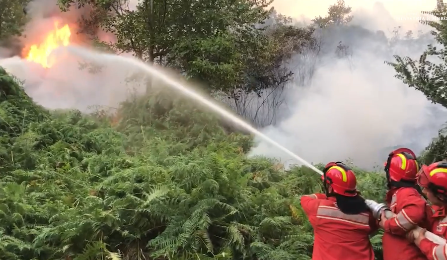 -900-0-1720862041xzjarretpng-812