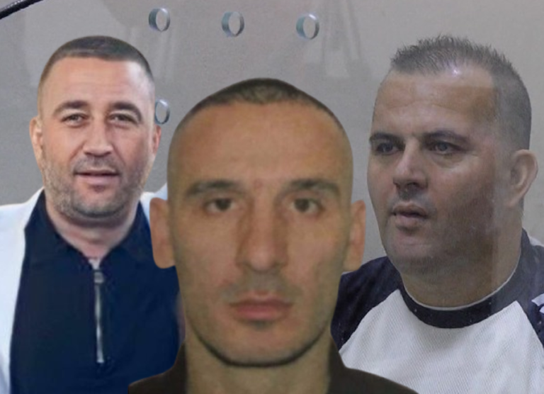 -900-0-1727513474xgjoka-alizoti-dhe-bajripng-214