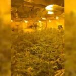 -640-0-screenshot-2024-10-11-072930-1728628179