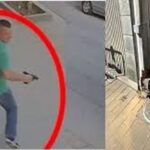 -640-0-bledar-muca-1732606993