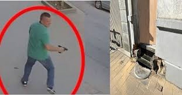 -640-0-bledar-muca-1732606993