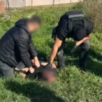 -640-0-screenshot-2024-11-03-163908-1730648367