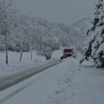 -640-0-korce-bora-1733046692