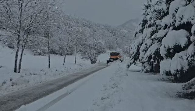 -640-0-korce-bora-1733046692