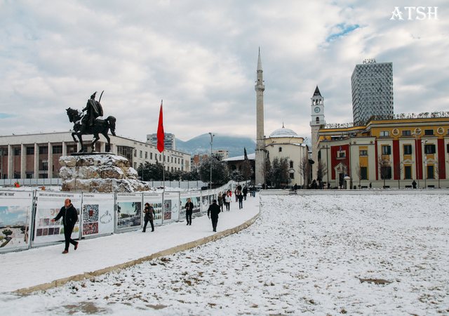 bore tirane moti