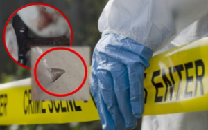 policia vrasje durres