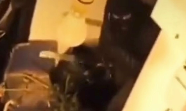 -640-0-g4-1737479444