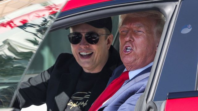 trump musk