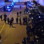 15670652074346535208