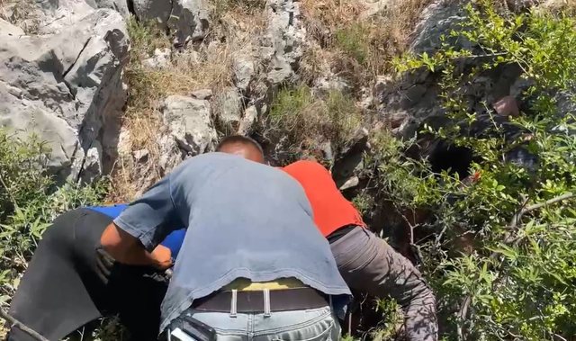 -640-0-d227e79e93185f0c19ca9ae7e0129655