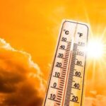 -900-0-1749882511xmoti1-107